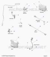 ELECTRICA, COMPONENTS