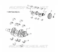 CIGUEÑAL AND BALANCE SHAFT