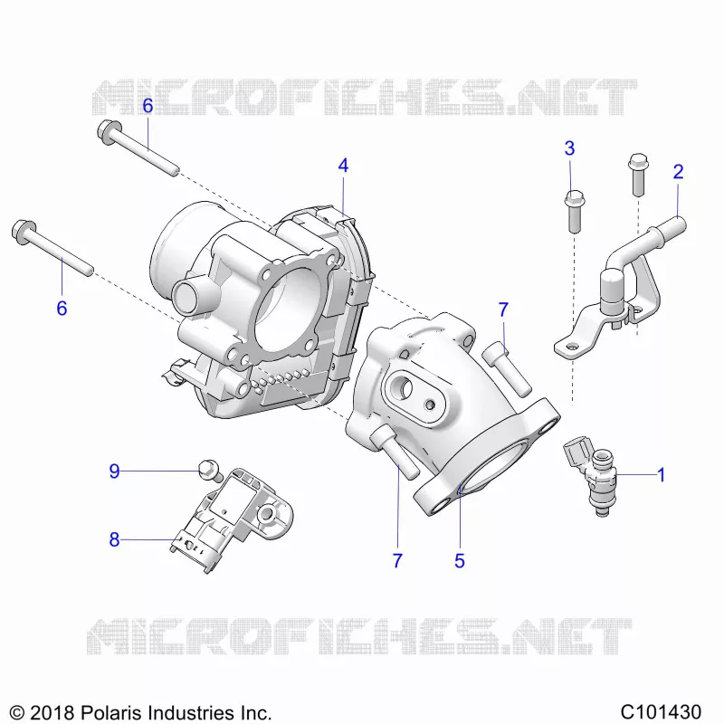 CUERPO DE MARIPOSA AND FUEL RAIL
