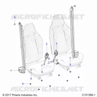 ASIENTO BELTS