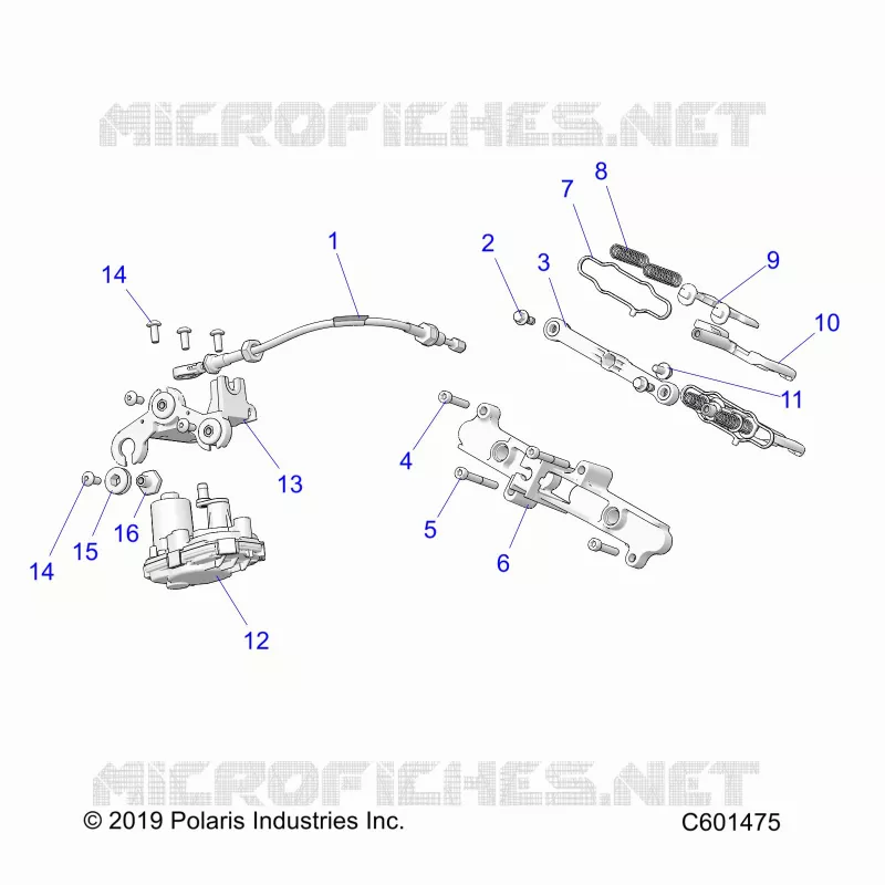 ENGINE, VALVOLA ESCAPE ASM. AND ACTUATOR