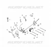 PARTES ELÉCTRICAS