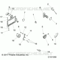 ELECTRICA, TURN SIGNALS