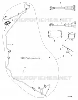 ELECTRICA, OPTIONS