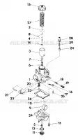 CARBURADOR ASSEMBLY (4918541854045A)