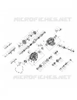 DRIVE TRAIN, PRINCIPAL GEARCASE INTERNALS
