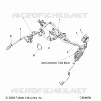 ELECTRICA, WIRE HARNESS, MAIN