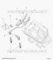 ELECTRICA, IGNITION COIL/SPARK PLUGS