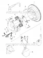 MAGNETO ASSEMBLY (4917741774041A)