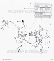 ELECTRICA, WIRE HARNESS