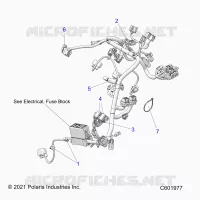 ELECTRICA, WIRE HARNESS, MAIN