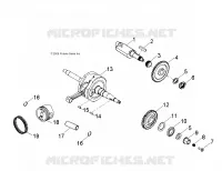 MOTOR, CIGUEÑAL AND PISTÓN