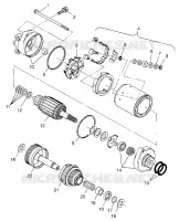 MOTOR DE ARRANQUE