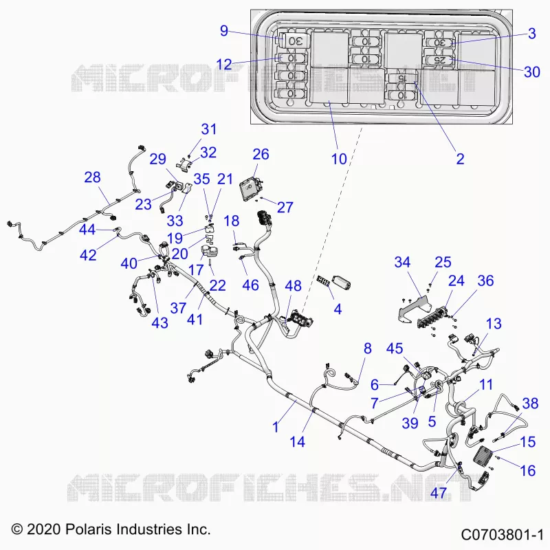 ELECTRICA, WIRE HARNESS