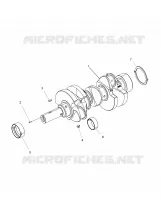 MOTOR, CIGUEÑAL