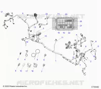 ELECTRICA, WIRE HARNESS