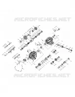 DRIVE TRAIN, PRINCIPAL GEARCASE INTERNALS