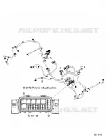ELECTRICA, WIRE HARNESS