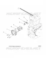 CUERPO DE MARIPOSA AND FUEL RAIL
