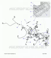 ELECTRICA, HARNESS