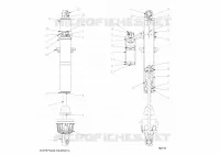 SUSPENSIÃ“N DELANTERA SHOCK INTERNALS