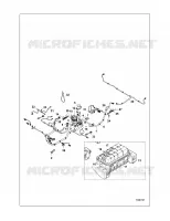 ELECTRICA, HARNESS
