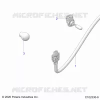 ELECTRICA, BULBS