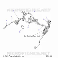 ELECTRICA, WIRE HARNESS, MAIN
