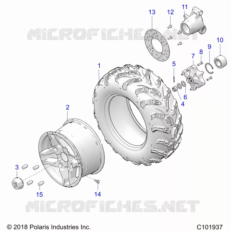 RUEDAS, REAR TIRE AND BRAKE DISC