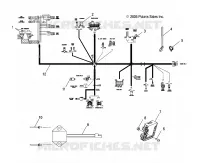 ELECTRICA