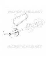 ENGINE, POLEA AND DRIVE BELT