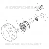 RUEDAS, REAR TIRE AND BRAKE DISC