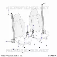 ASIENTO BELTS