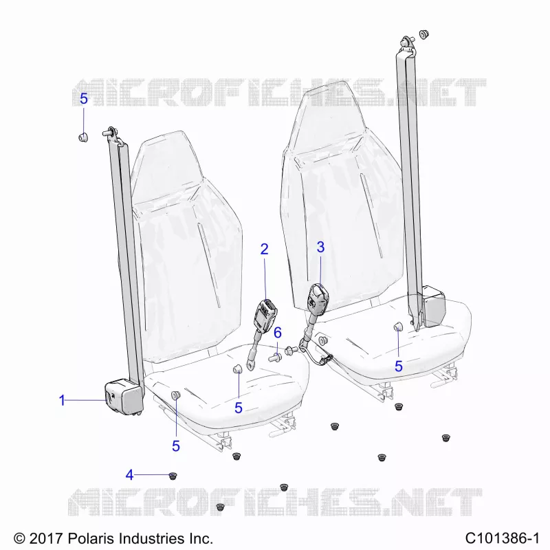 ASIENTO BELTS