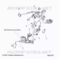 ELECTRICA, WIRE HARNESS, MAIN