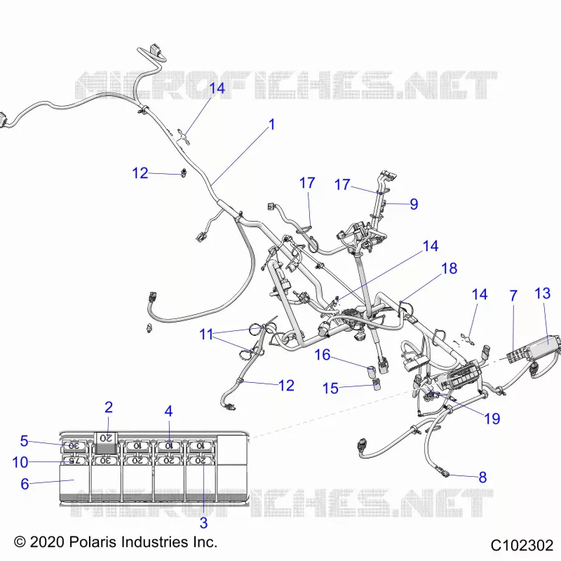 ELECTRICA, HARNESS