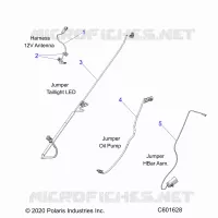 ELECTRICA, JUMPER WIRES