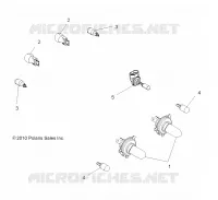 ELECTRICA, BULBS