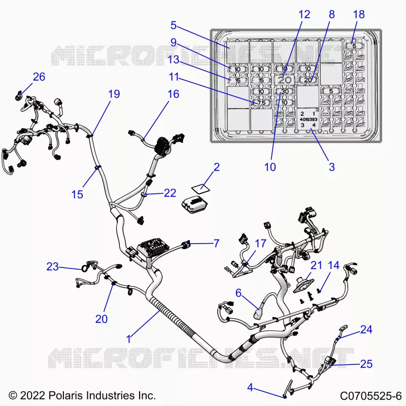 ELECTRICA, WIRE HARNESS