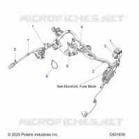 ELECTRICA, WIRE HARNESS, MAIN