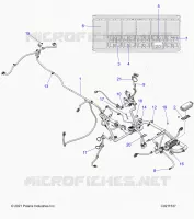 ELECTRICA, HARNESS