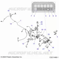 ELECTRICA, HARNESS