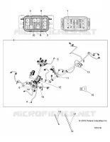 ELECTRICA, HARNESS