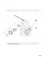 CUERPO DE MARIPOSA AND FUEL RAIL