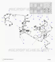 ELECTRICA, WIRE HARNESS