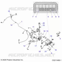 ELECTRICA, HARNESS
