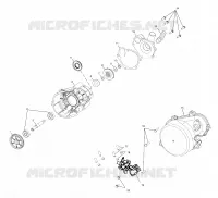 BOMBA DE AGUA/BOMBA DE ACEITE (700)