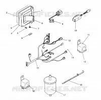 RECAMBIOS EFI RXL / 0930768 AND RXL SKS / 0930568 (4922992299038A)