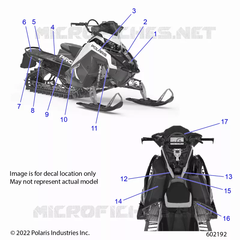 ETIQUETAS,  POLARIS BLUE SIDE PANEL W/WHITE ACCENT