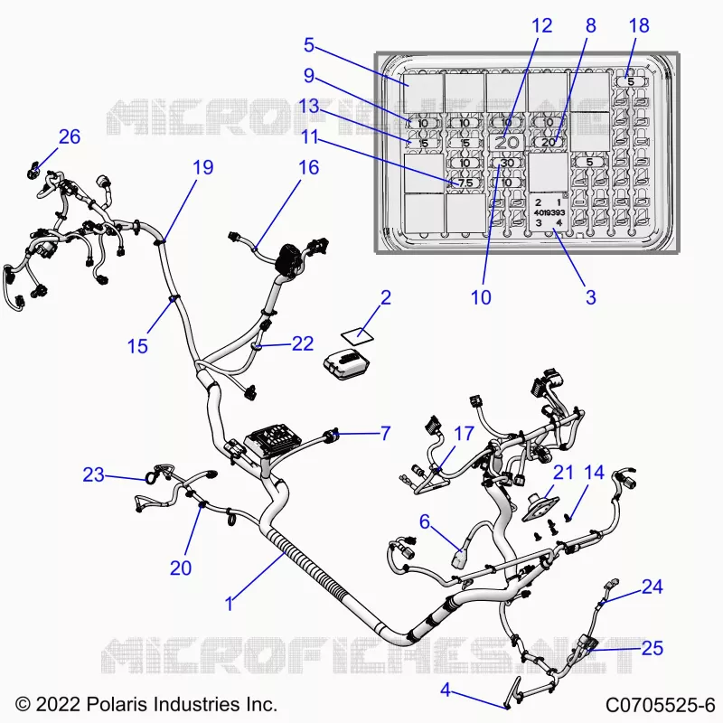 ELECTRICA, WIRE HARNESS